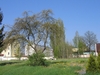 Pozemek ve Františkových Lázních - 